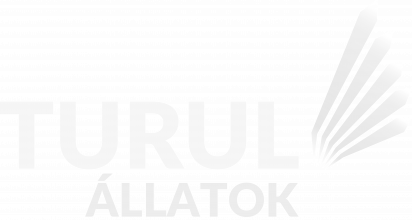 Turul Állatok